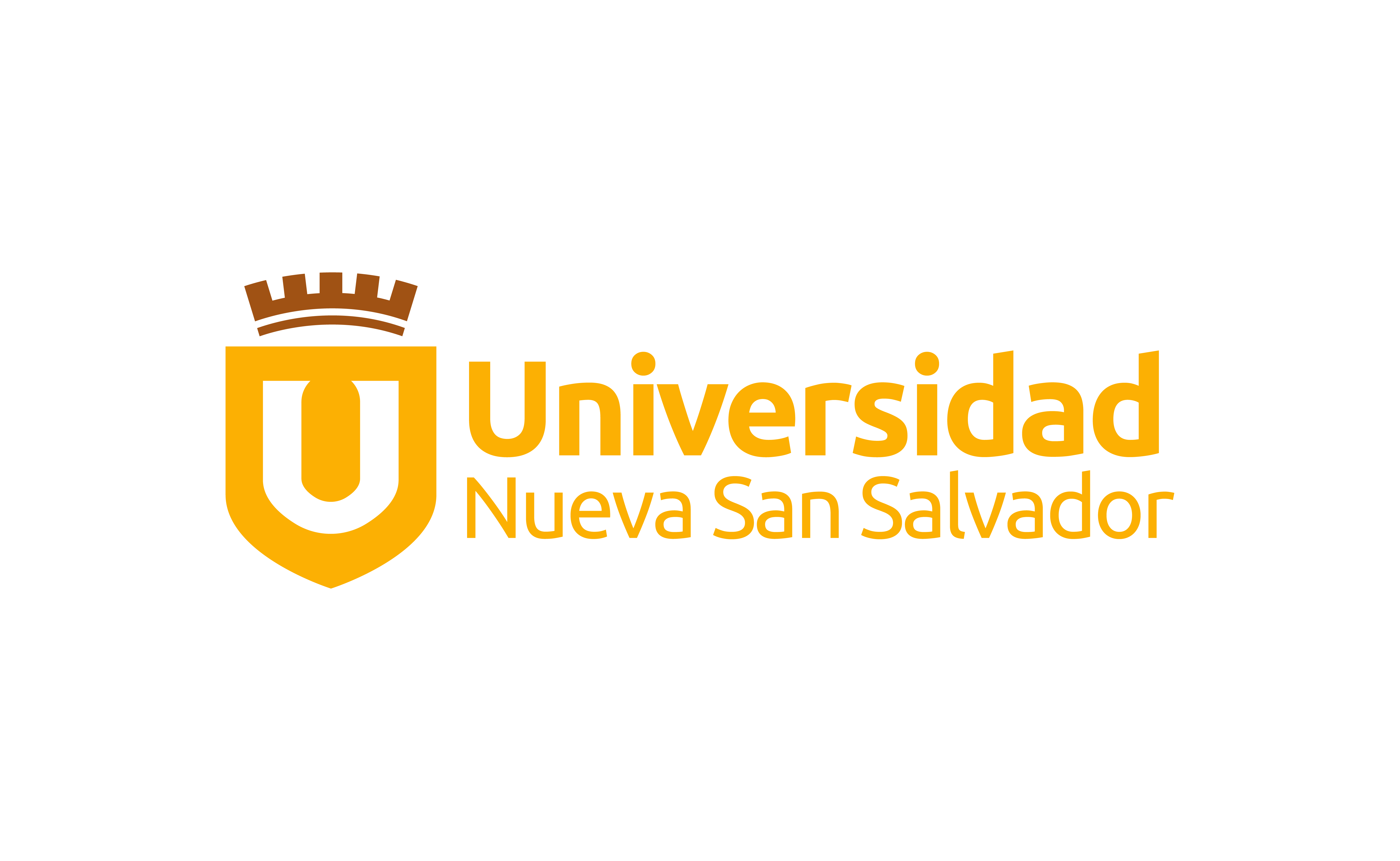 Ing. Erick Roberto Salguero